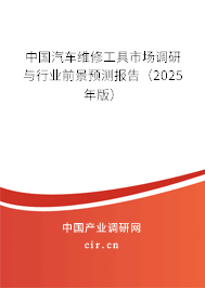 中國汽車維修工具市場調(diào)研與行業(yè)前景預(yù)測報告（2025年版）