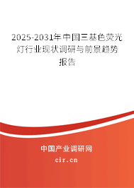 2025-2031年中國三基色熒光燈行業(yè)現(xiàn)狀調(diào)研與前景趨勢報告