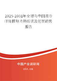 2025-2031年全球與中國液冷IT微模塊市場現(xiàn)狀及前景趨勢報告