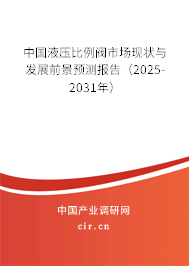 中國(guó)液壓比例閥市場(chǎng)現(xiàn)狀與發(fā)展前景預(yù)測(cè)報(bào)告（2024-2030年）