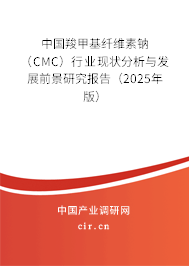 中國羧甲基纖維素鈉(CMC)行業(yè)現(xiàn)狀分析與發(fā)展前景研究報告(2025年版) 中國羧甲基纖維素鈉(CMC)行業(yè)現(xiàn)狀分析與發(fā)展前景研究報告(2025年版)