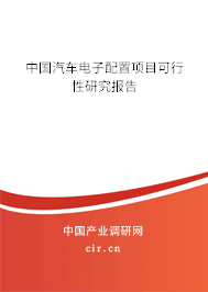 中國汽車電子配置項(xiàng)目可行性研究報(bào)告
