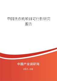 中國洗衣刷項目可行性研究報告