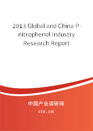 2013 Global and China P-nitrophenol Industry Research Report 2013 Global and China P-nitrophenol Industry Research Report