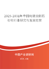 2025-2031年中國(guó)電鍍金剛石砂輪行業(yè)研究與發(fā)展前景