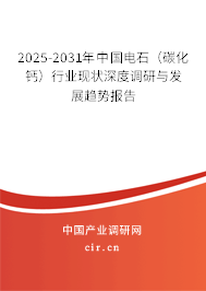2025-2031年中國電石（碳化鈣）行業(yè)現(xiàn)狀深度調研與發(fā)展趨勢報告
