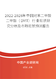 2022-2028年中國對苯二甲酸二甲酯（DMT）行業(yè)現狀研究分析及市場前景預測報告