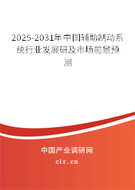 2025-2031年中國輔助制動(dòng)系統(tǒng)行業(yè)發(fā)展研及市場前景預(yù)測