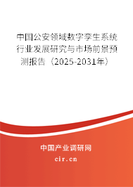 中國公安領(lǐng)域數(shù)字孿生系統(tǒng)行業(yè)發(fā)展研究與市場前景預(yù)測報告（2025-2031年）