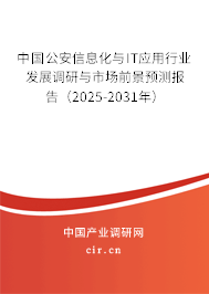 中國公安信息化與IT應用行業(yè)發(fā)展調研與市場前景預測報告（2025-2031年）