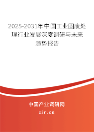 2025-2031年中國工業(yè)固廢處理行業(yè)發(fā)展深度調(diào)研與未來趨勢報告