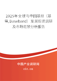 2025年全球與中國基頻（基帶,Baseband）發(fā)展現(xiàn)狀調(diào)研及市場前景分析報告