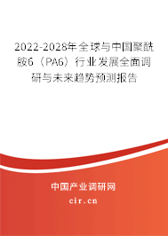 2022-2028年全球與中國聚酰胺6（PA6）行業(yè)發(fā)展全面調(diào)研與未來趨勢(shì)預(yù)測(cè)報(bào)告
