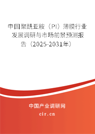 中國聚酰亞胺（PI）薄膜行業(yè)發(fā)展調研與市場前景預測報告（2025-2031年）