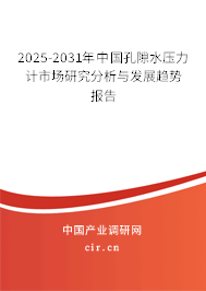 2025-2031年中國孔隙水壓力計(jì)市場研究分析與發(fā)展趨勢報(bào)告