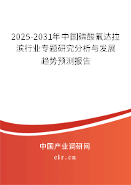 2025-2031年中國磷酸氟達拉濱行業(yè)專題研究分析與發(fā)展趨勢預測報告