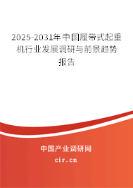 2025-2031年中國履帶式起重機行業(yè)發(fā)展調研與前景趨勢報告 2025-2031年中國履帶式起重機行業(yè)發(fā)展調研與前景趨勢報告