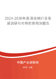 2024-2030年能源金融行業(yè)發(fā)展調(diào)研與市場前景預測報告 2024-2030年能源金融行業(yè)發(fā)展調(diào)研與市場前景預測報告