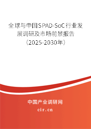 全球與中國SPAD-SoC行業(yè)發(fā)展調(diào)研及市場前景報告（2025-2030年）