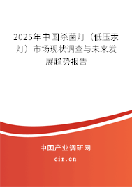 2025年中國殺菌燈（低壓汞燈）市場現(xiàn)狀調(diào)查與未來發(fā)展趨勢報(bào)告