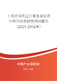 上海靈活用工行業(yè)發(fā)展現(xiàn)狀分析與前景趨勢(shì)預(yù)測(cè)報(bào)告（2025-2031年）