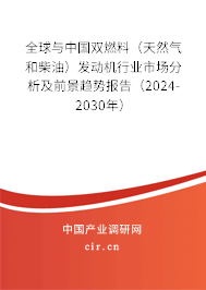 全球與中國雙燃料（天然氣和柴油）發(fā)動機行業(yè)市場分析及前景趨勢報告（2024-2030年）