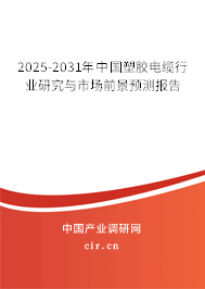2025-2031年中國塑膠電纜行業(yè)研究與市場前景預(yù)測報告