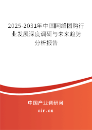 2025-2031年中國網(wǎng)絡(luò)團購行業(yè)發(fā)展深度調(diào)研與未來趨勢分析報告