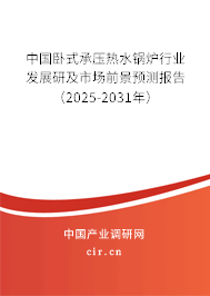 中國臥式承壓熱水鍋爐行業(yè)發(fā)展研及市場前景預(yù)測報(bào)告（2025-2031年）