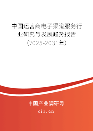 中國運(yùn)營商電子渠道服務(wù)行業(yè)研究與發(fā)展趨勢報告（2025-2031年）
