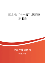 中國水電“十一五”發(fā)展預(yù)測報(bào)告 中國水電“十一五”發(fā)展預(yù)測報(bào)告