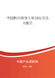 中國數(shù)碼攝像頭項(xiàng)目投資咨詢報告