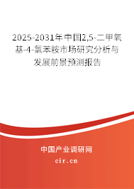 2025-2031年中國2,5-二甲氧基-4-氯苯胺市場研究分析與發(fā)展前景預測報告