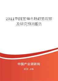 2011中國寬帶市場趨勢觀察及研究預(yù)測報告