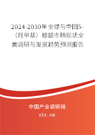 2024-2030年全球與中國5-（羥甲基）糠醛市場現(xiàn)狀全面調(diào)研與發(fā)展趨勢(shì)預(yù)測報(bào)告