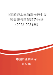 中國筆記本電腦聲卡行業(yè)發(fā)展調(diào)研與前景趨勢分析（2025-2031年）