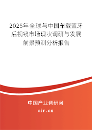 2025年全球與中國(guó)車載藍(lán)牙后視鏡市場(chǎng)現(xiàn)狀調(diào)研與發(fā)展前景預(yù)測(cè)分析報(bào)告