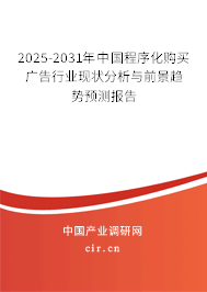 2025-2031年中國程序化購買廣告行業(yè)現(xiàn)狀分析與前景趨勢預(yù)測報告