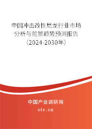中國沖擊改性尼龍行業(yè)市場分析與前景趨勢預測報告（2024-2030年）