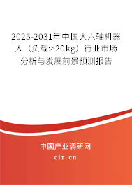 2025-2031年中國大六軸機(jī)器人（負(fù)載:>20kg）行業(yè)市場分析與發(fā)展前景預(yù)測報(bào)告