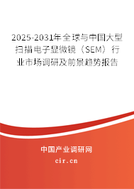 2025-2031年全球與中國大型掃描電子顯微鏡（SEM）行業(yè)市場調(diào)研及前景趨勢報告
