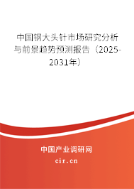 中國鋼大頭針市場研究分析與前景趨勢預(yù)測報(bào)告（2025-2031年）