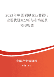 2023年中國鋼鐵企業(yè)非鋼行業(yè)現(xiàn)狀研究分析與市場前景預測報告 2023年中國鋼鐵企業(yè)非鋼行業(yè)現(xiàn)狀研究分析與市場前景預測報告