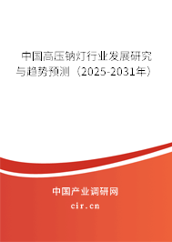 中國高壓鈉燈行業(yè)發(fā)展研究與趨勢預(yù)測（2025-2031年）
