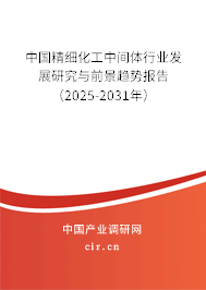 中國精細化工中間體行業(yè)發(fā)展研究與前景趨勢報告（2025-2031年）