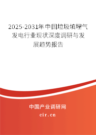 2025-2031年中國(guó)垃圾填埋氣發(fā)電行業(yè)現(xiàn)狀深度調(diào)研與發(fā)展趨勢(shì)報(bào)告