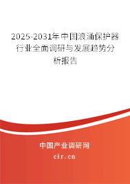 2025-2031年中國浪涌保護(hù)器行業(yè)全面調(diào)研與發(fā)展趨勢分析報告