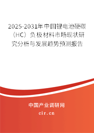 2025-2031年中國(guó)鋰電池硬碳（HC）負(fù)極材料市場(chǎng)現(xiàn)狀研究分析與發(fā)展趨勢(shì)預(yù)測(cè)報(bào)告