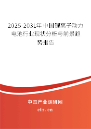 2025-2031年中國鋰離子動力電池行業(yè)現狀分析與前景趨勢報告