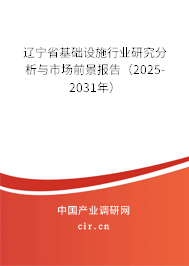 遼寧省基礎(chǔ)設(shè)施行業(yè)研究分析與市場前景報(bào)告（2025-2031年）